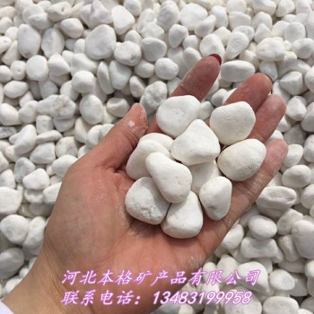 合肥本格供应纯白鹅卵石 汉白玉机制白鹅卵石3-5CM