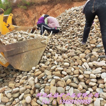 鹅卵石厂家 鹅卵石批发20-50cm大鹅卵石 公园铺路鹅卵石