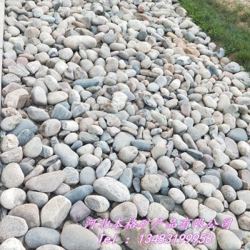 通化本格供应鹅卵石 花卉园林铺面造景用鹅卵石 水处理鹅卵石