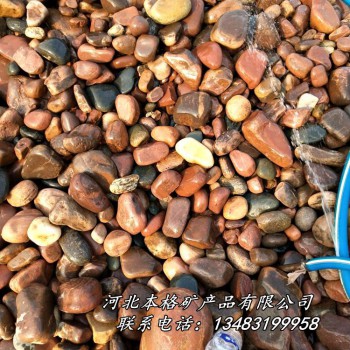 本格大量供应鹅卵石 铺路护坡鹅卵石 水处理滤料鹅卵石