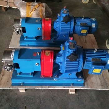 强亨3RP转子泵 不锈钢凸轮泵 抽蜂蜜泵 高粘度转子泵