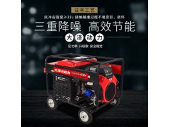 大泽勭力250A汽油发电电焊机