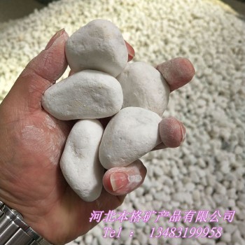 鹅卵石厂家供应 园艺用白石子 白色鹅卵石 多肉铺面白玉石