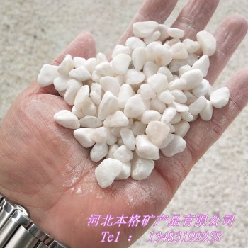 厂家供应小白石头 园艺白石子 花盆用小白石头 水洗白色鹅卵石