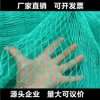 热销塑料养殖围网 塑料爬藤网 养鱼网 尼龙养鸭网