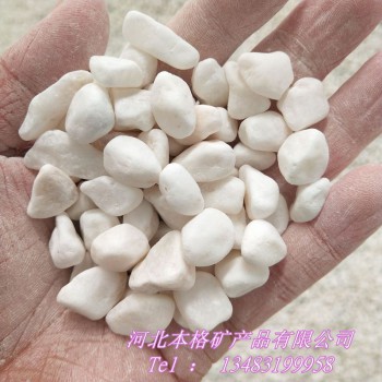 本格厂家供应白色鹅卵石 园艺盆栽白色石子 汉白玉碎石