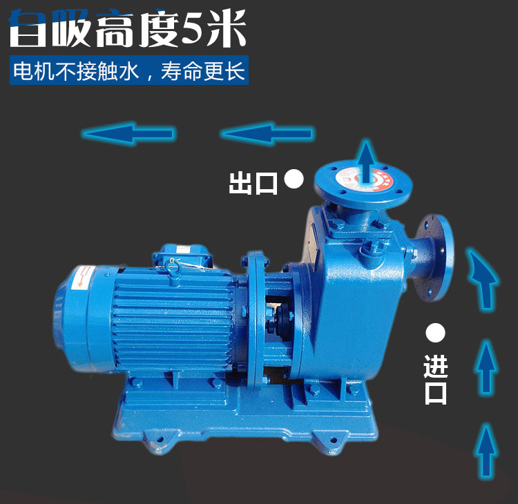 80ZW50-60-22自吸排污泵,ZW型自吸排污泵,ZW自吸泵,无堵塞自吸排污泵示例图1