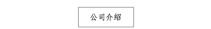 公司介绍