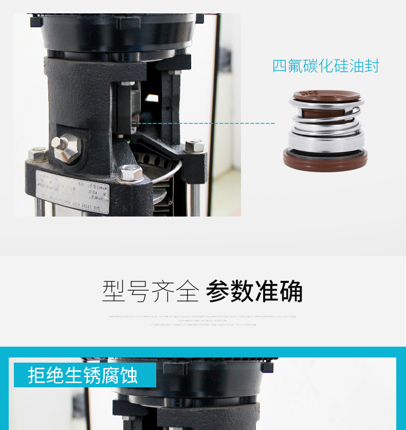 博禹泵业QDLF立式不锈钢多级泵,QDLF,立式,不锈钢,多级泵示例图7