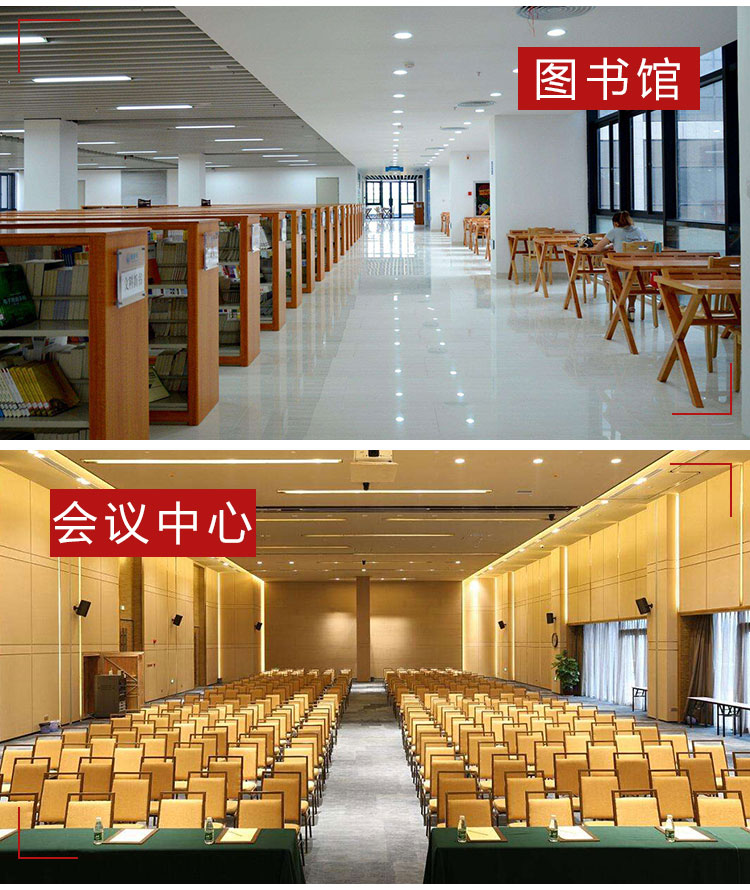 丹麦力奇先进GU355-dual直立式吸尘器 力奇Nilfisk吸尘器