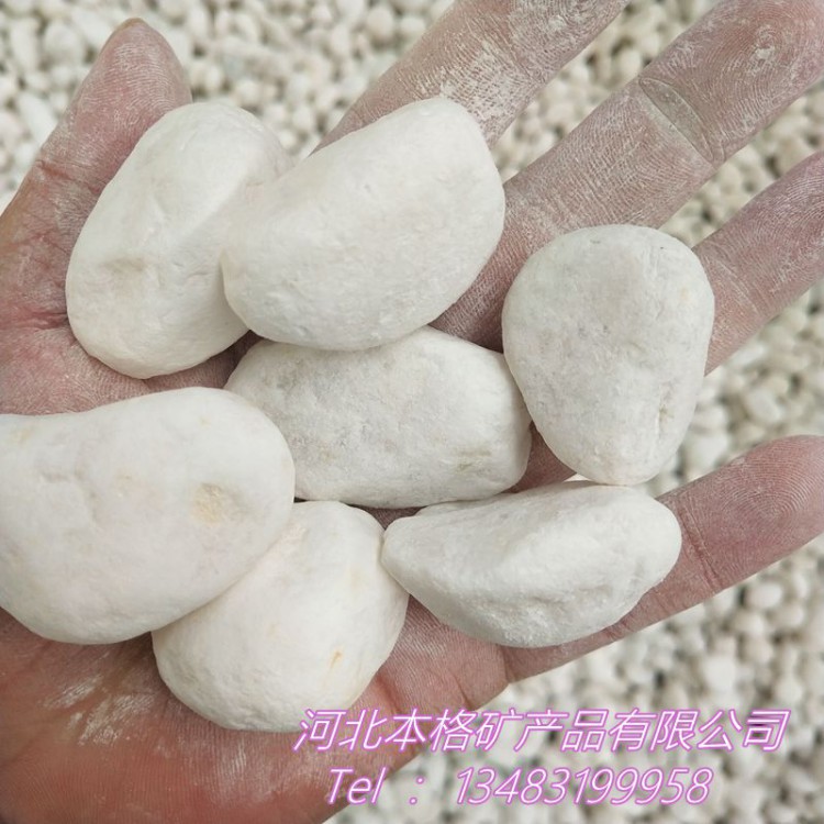 供应白色石头鱼缸造景白石子 园艺用白色鹅卵石 水洗白色石子