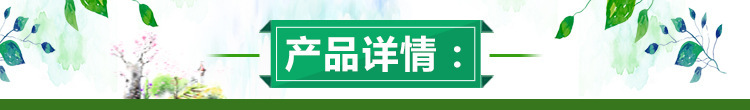 基地大量出售多种规格葡萄苗 成活率高 口感香甜金手指葡萄苗示例图11