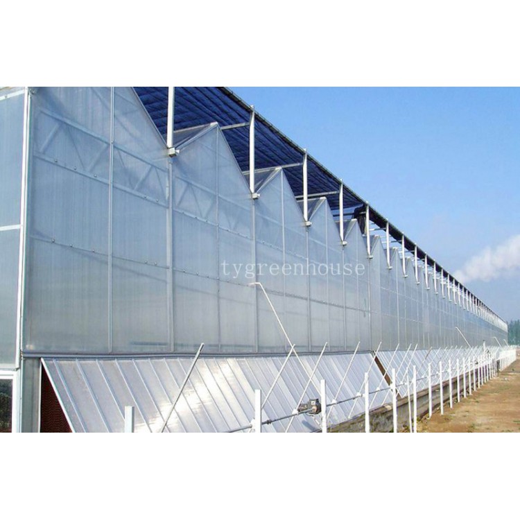 连栋智能阳光板温室 连栋智能pc板温室