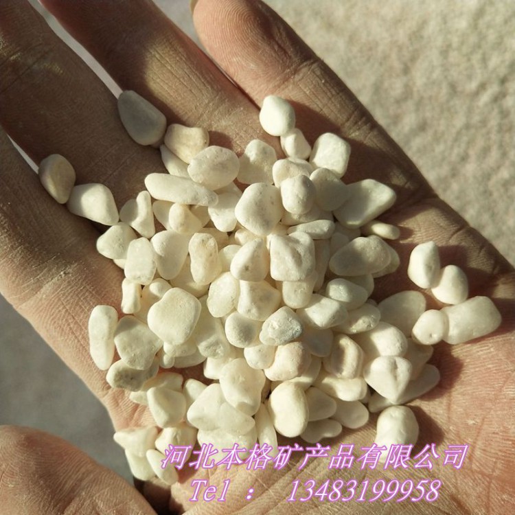 本格供应 优质白色鹅卵石 白色米石 鱼缸盆栽小石子 白石子
