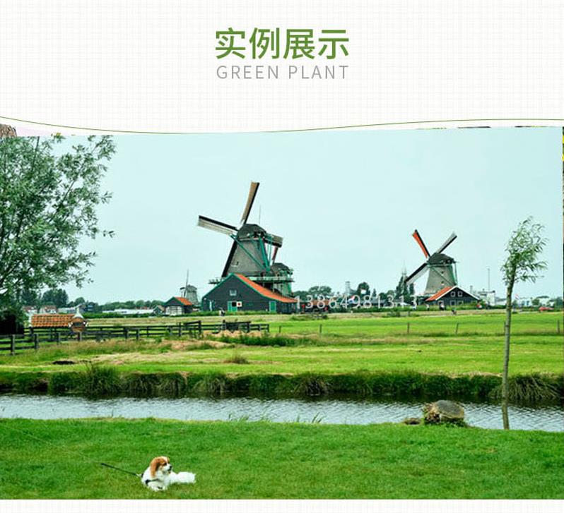 360截图17321128507266