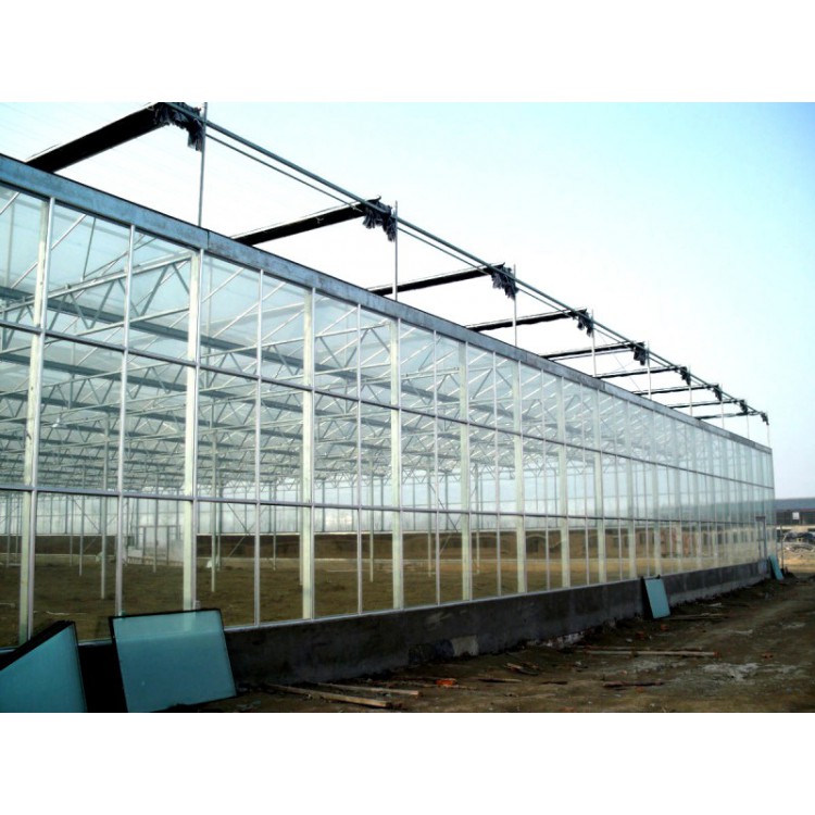 玻璃温室方案设计 玻璃温室方案供应 玻璃温室承建