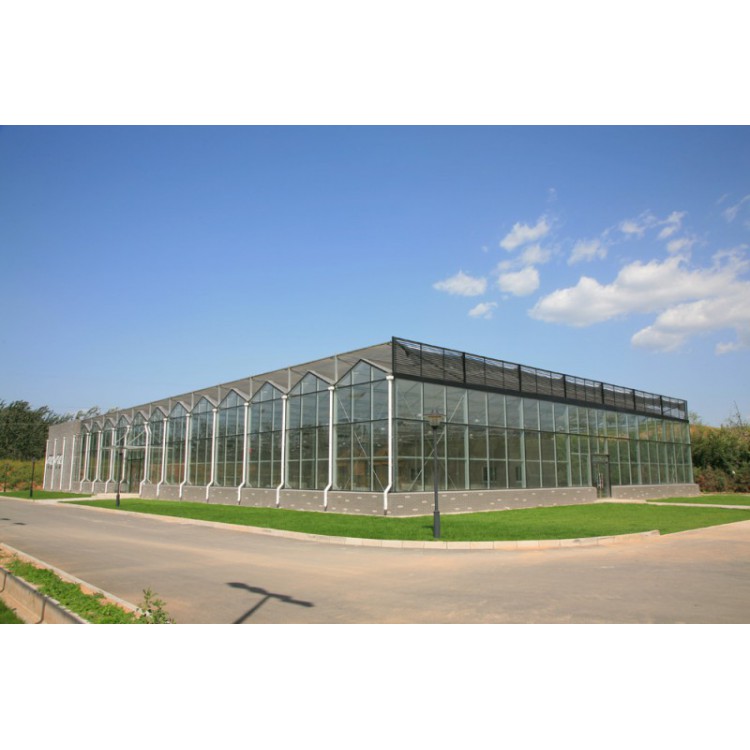 玻璃大棚工程 玻璃大棚生产厂家 玻璃大棚造价