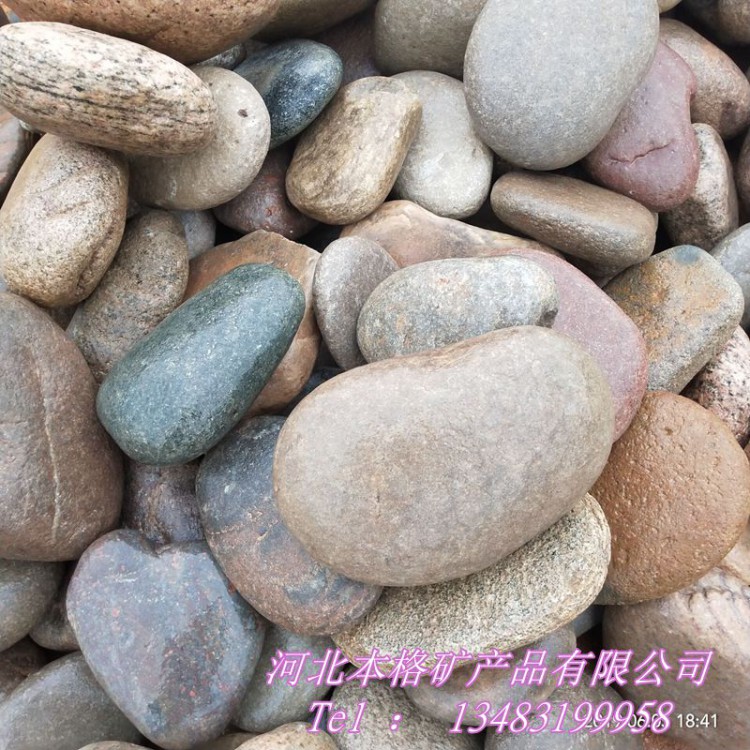 杭州直销本格 园林造景鹅卵石  水洗 垫层用鹅卵石 河卵石