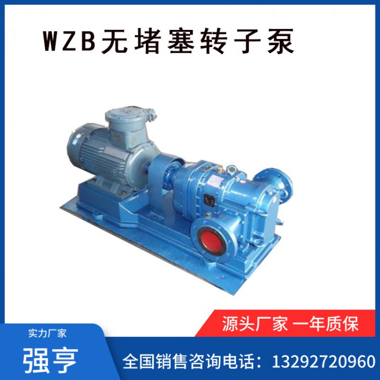 强亨WZB无堵塞转子泵/胶体泵/排污泵/型号齐全/厂家直销