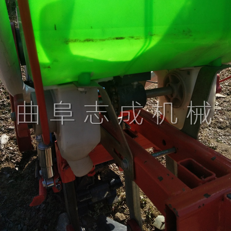 细节 (8)