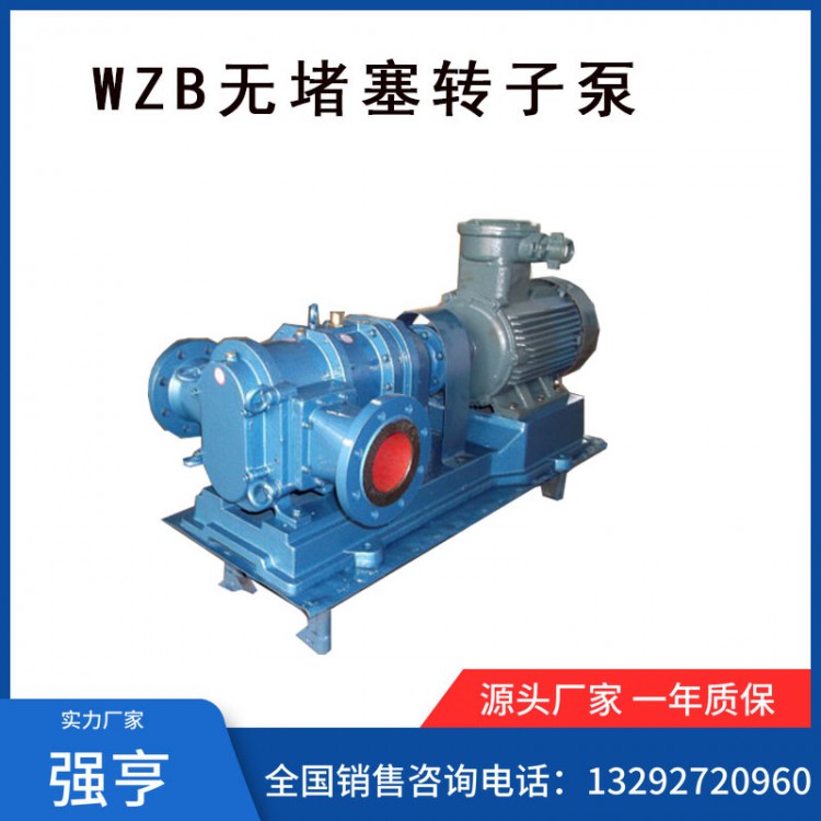强亨WZB无堵塞转子泵/排污泵/污水泵/杂质泵