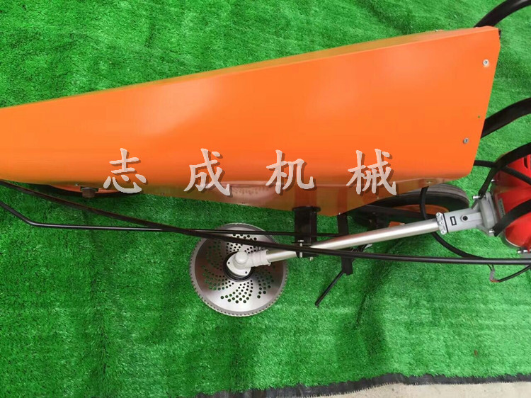细节 (11)