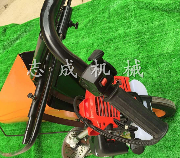 细节 (9)