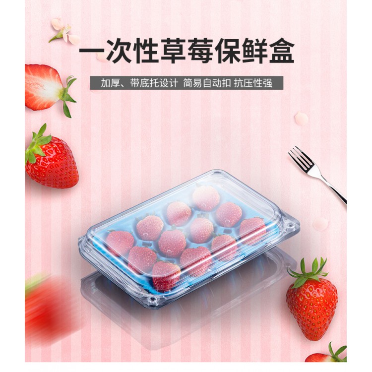 草莓包装盒水果保鲜盒透明软底 一次性塑料盒pet材质内部支撑
