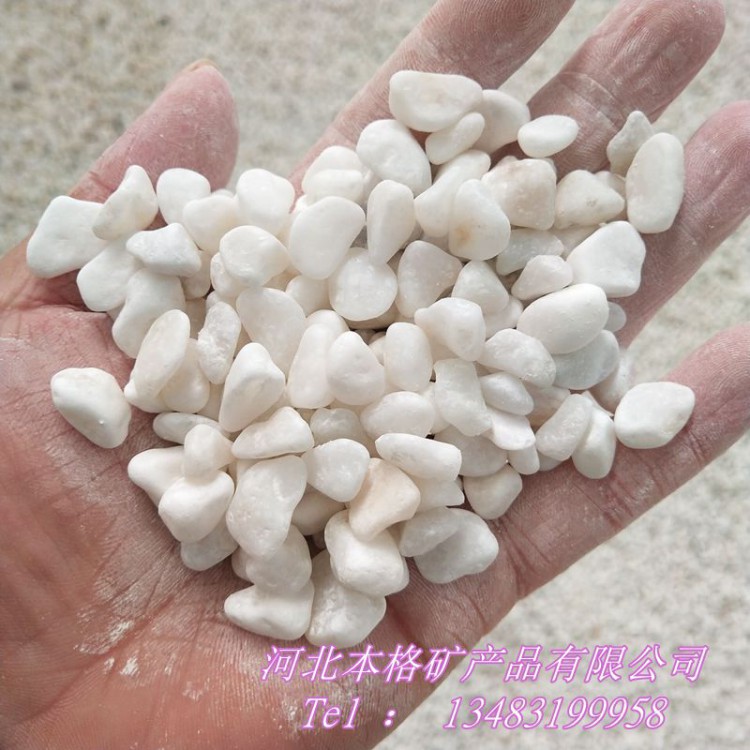 鹅卵石厂家 白色鹅卵石 机制白石子 3-5景观白色抛光小石头