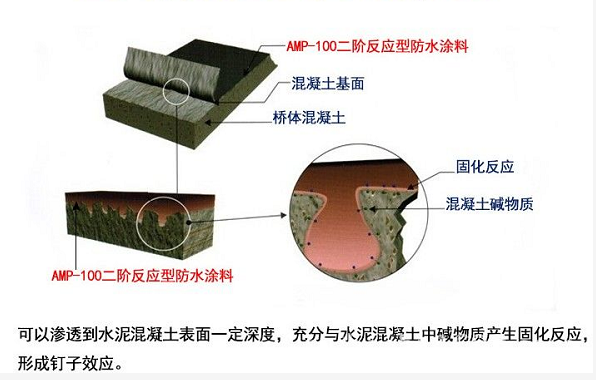 APM二阶反应型防水粘接剂 厂家直接发货示例图3