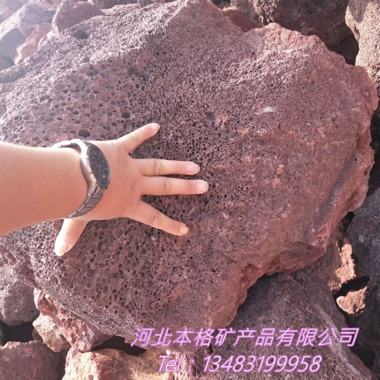 火山石厂家供应 园艺火山石颗粒 水处理火山石 育苗基质火山石