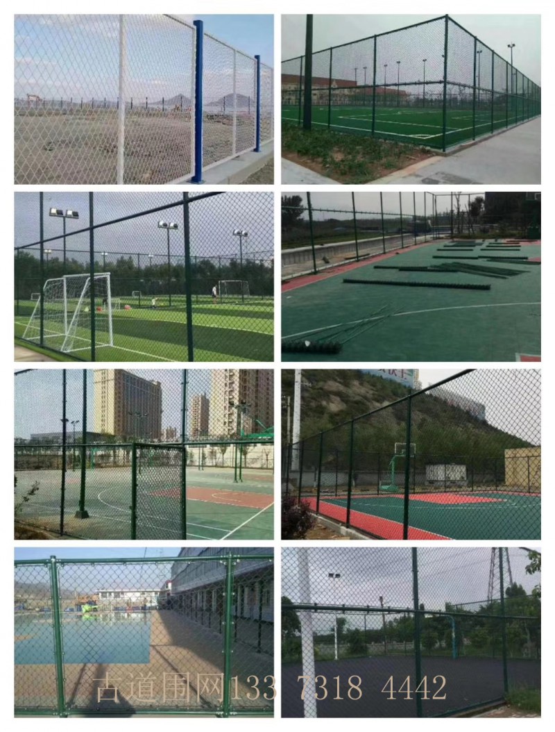 包塑球场围网 体育场围栏网 4米高球场围网 实体厂家