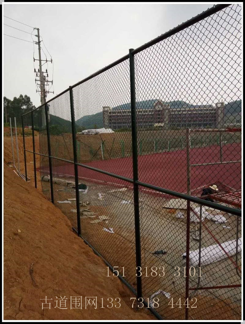 网球场围网 体育场围栏网 浸塑喷塑球场围网 质量保证