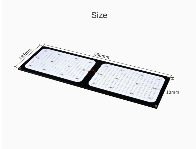 1 Custom quantum board (4)