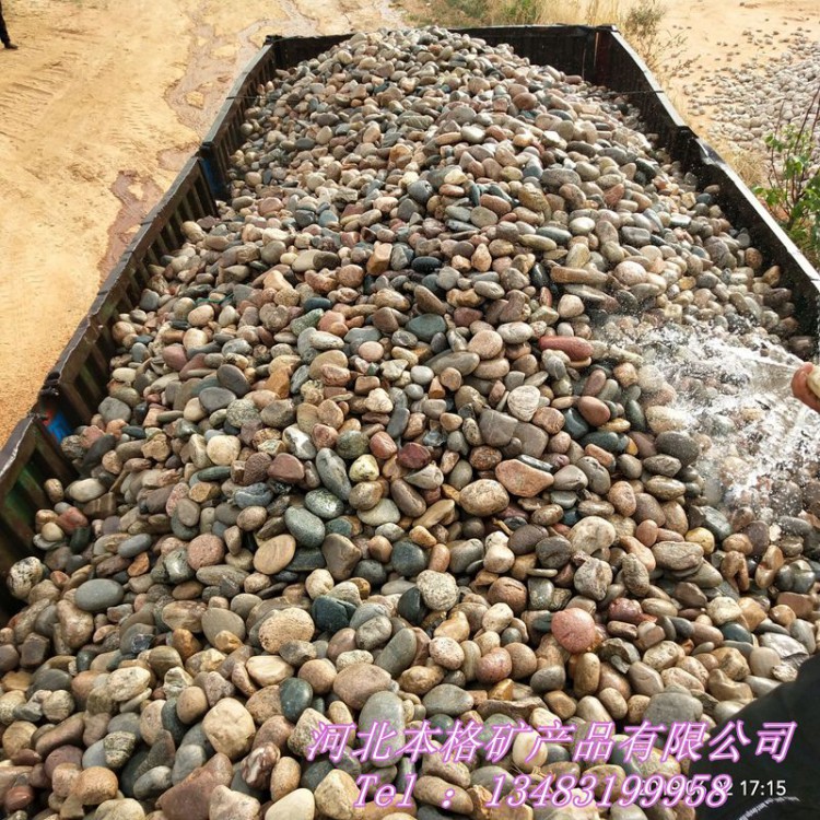 供应园林铺路鹅卵石 变压器鹅卵石 五彩河卵石 水处理鹅卵石