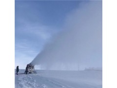 小型人工造雪机性能 出雪雾化细腻的国产造雪机