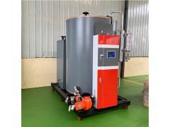燃油燃气蒸汽发生器厂家