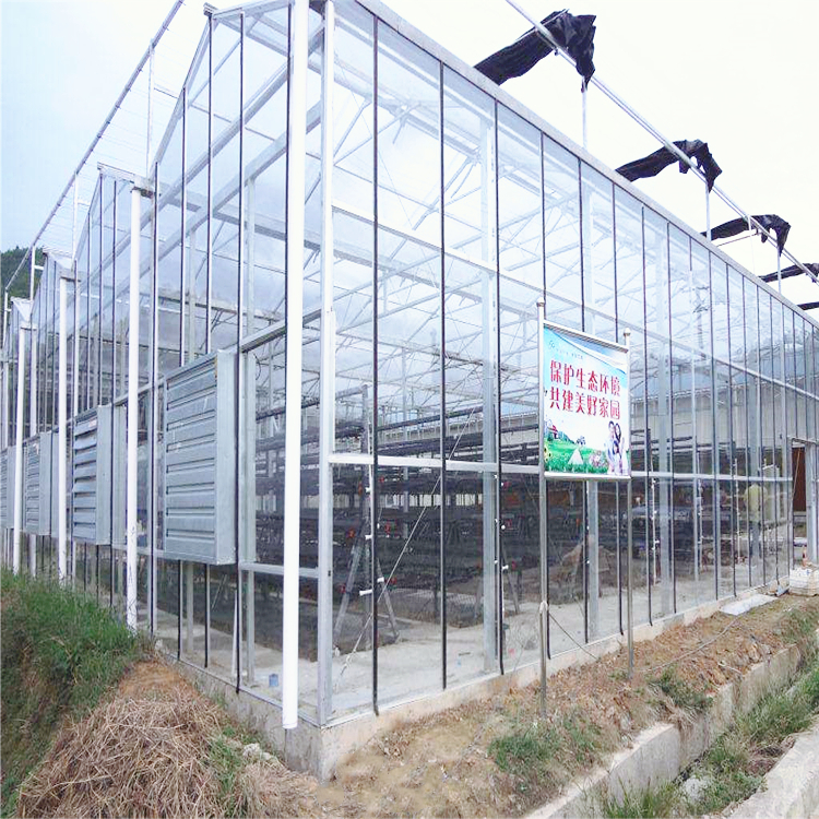 智慧农业大棚的设计 智能化玻璃温室大棚 全自动玻璃温室大棚