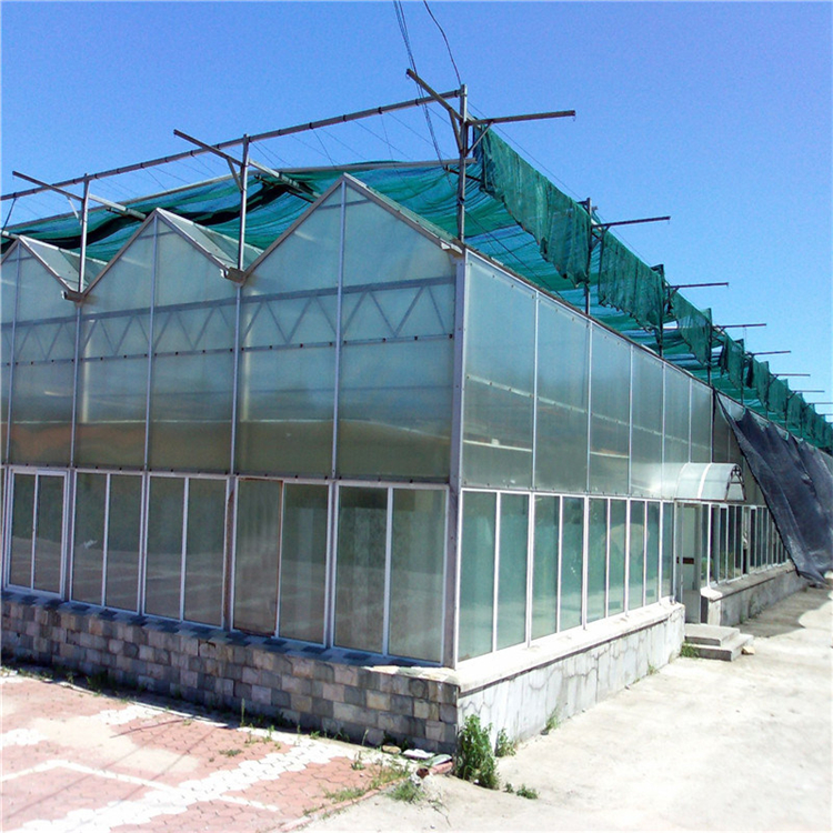 pc板温室大棚建设 阳光板大棚工程承建 纹洛型塑料板温室搭建