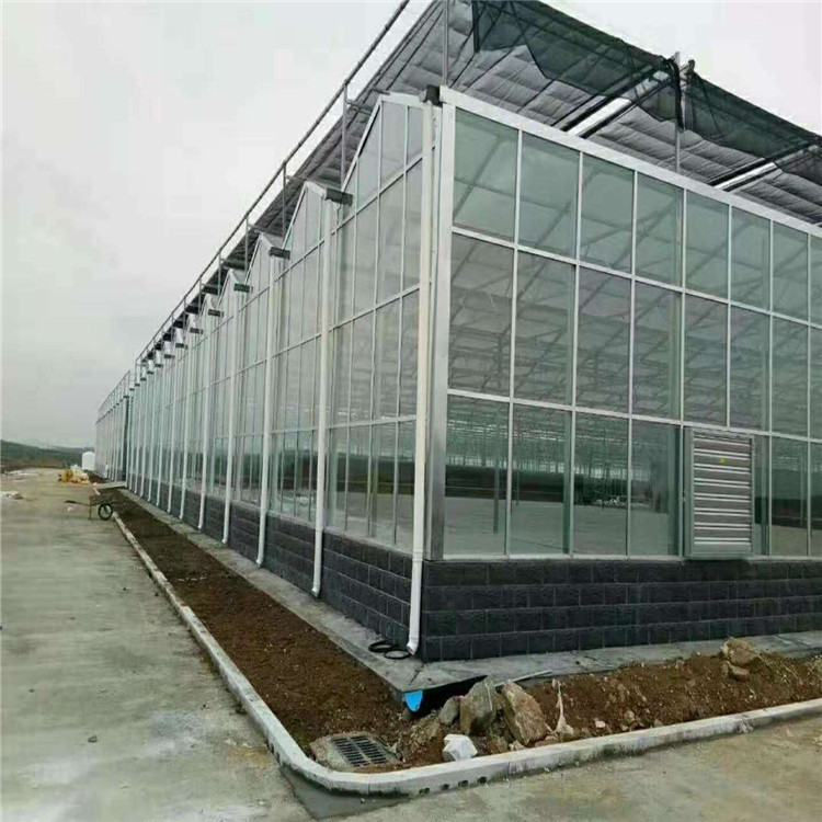供应 玻璃温室大棚 连栋薄膜大棚 养殖大棚 蔬菜大棚