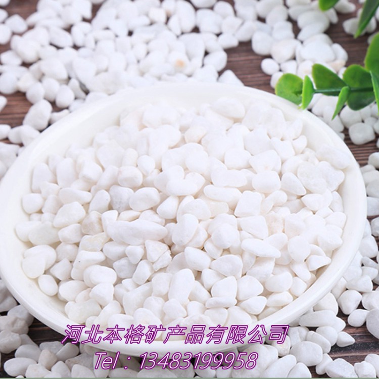 鹅卵石厂家供应 白色水磨石石子 洗米石 碎石卵石 白色鹅卵石