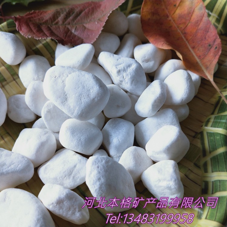 潍坊本格批发 白色鹅卵石 鱼缸造景白石子 园艺用白色鹅卵石