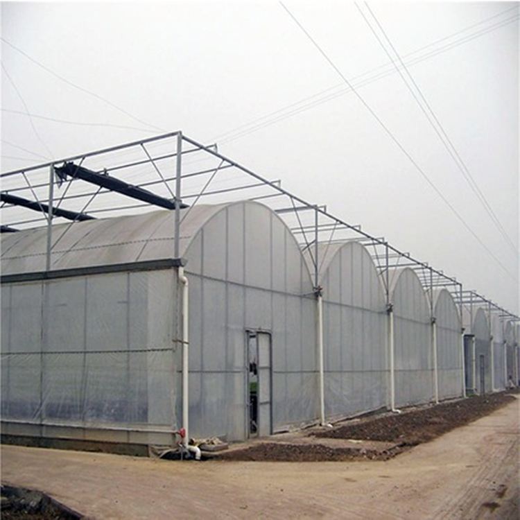 连栋钢结构大棚建设 钢管蔬菜种植大棚 连栋薄膜温室大棚