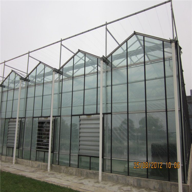 供应 田园综合体玻璃温室 连栋薄膜田园综合体大棚