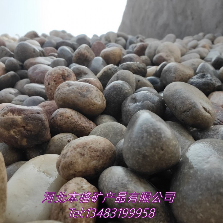 青岛 3-5公分杂色鹅卵石 河滩鹅卵石 电厂变压器专用河卵石