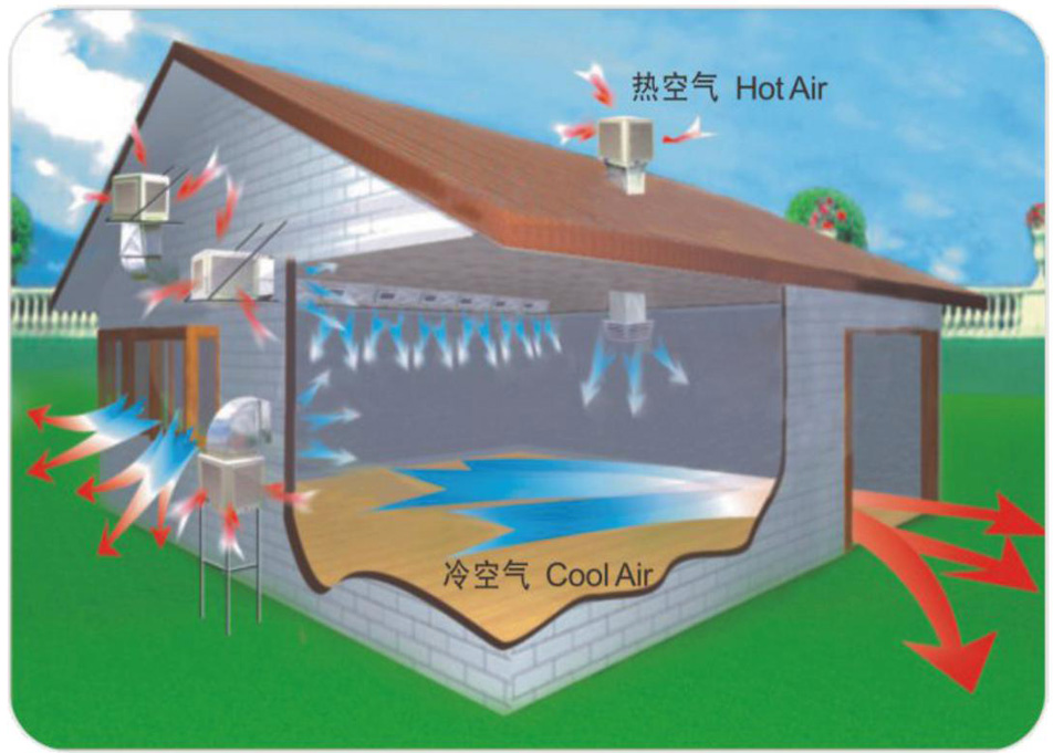 外媒戒备：美邦苹果公司或将面对苛苛挑拨，市集比赛加剧成合节成分