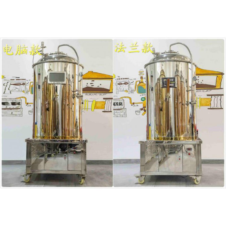 郑州大帝科技自酿啤酒设备发酵罐