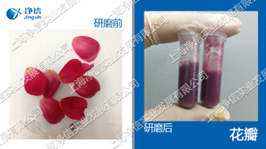 多样品组织研磨机-32