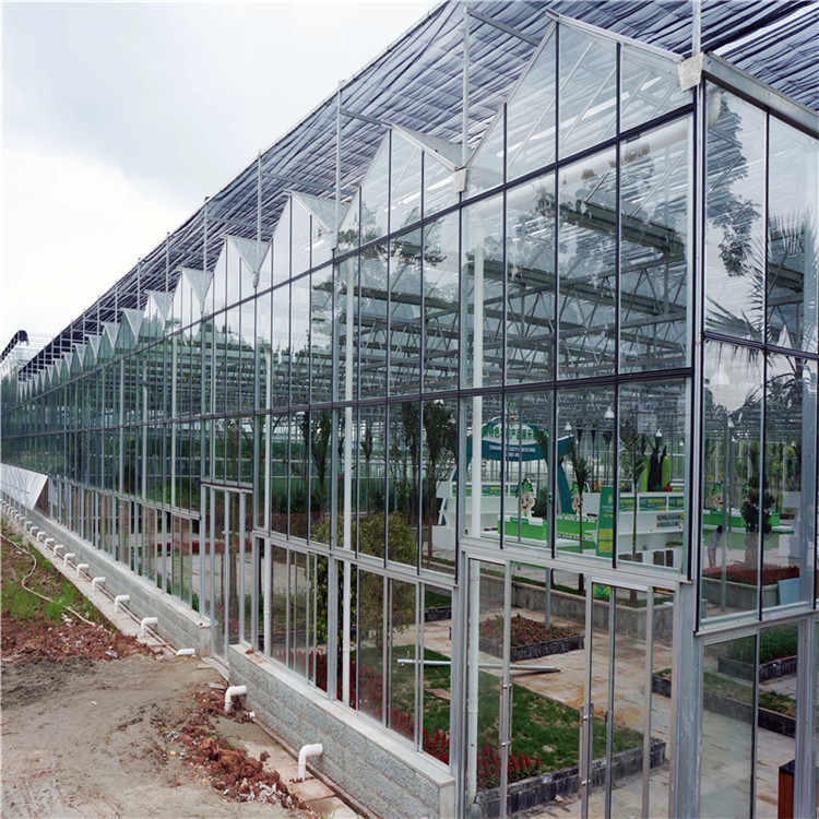 钢结构温室大棚生产 玻璃温室 连栋薄膜温室建造
