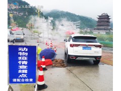 喷雾消毒防疫设备 车辆人员消毒通道 高压消毒除臭造雾机